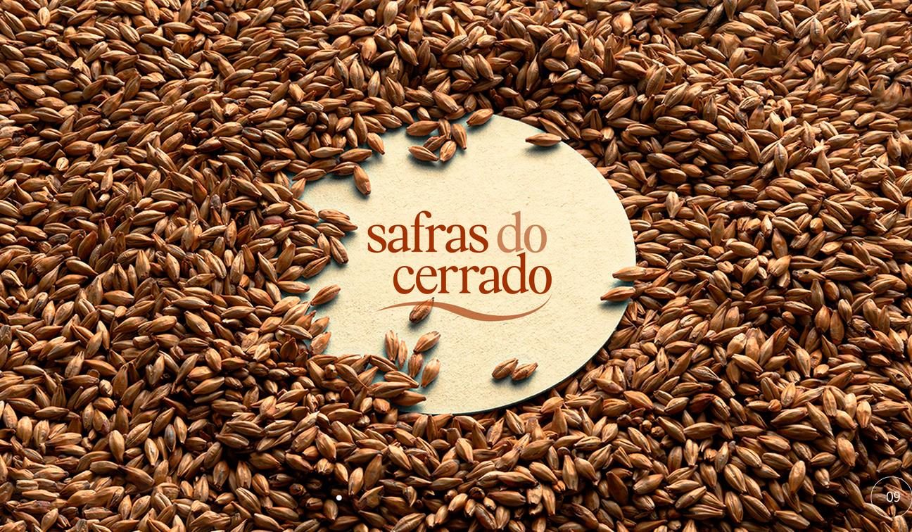 Grãos do Cerrado